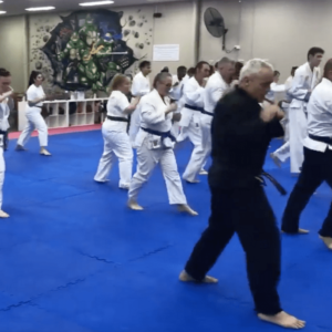 Comparing Different Martial Arts Styles for Adult Beginners