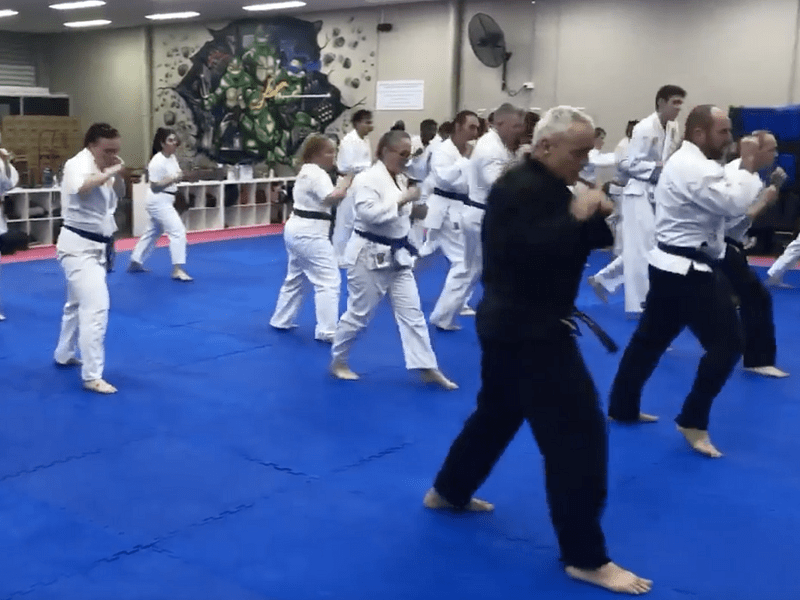 Comparing Different Martial Arts Styles for Adult Beginners