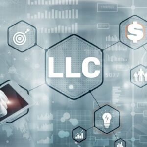 Wyoming LLC vs Delaware C-Corp for Non-US Residents: Which One Actually Fits Your Business?
